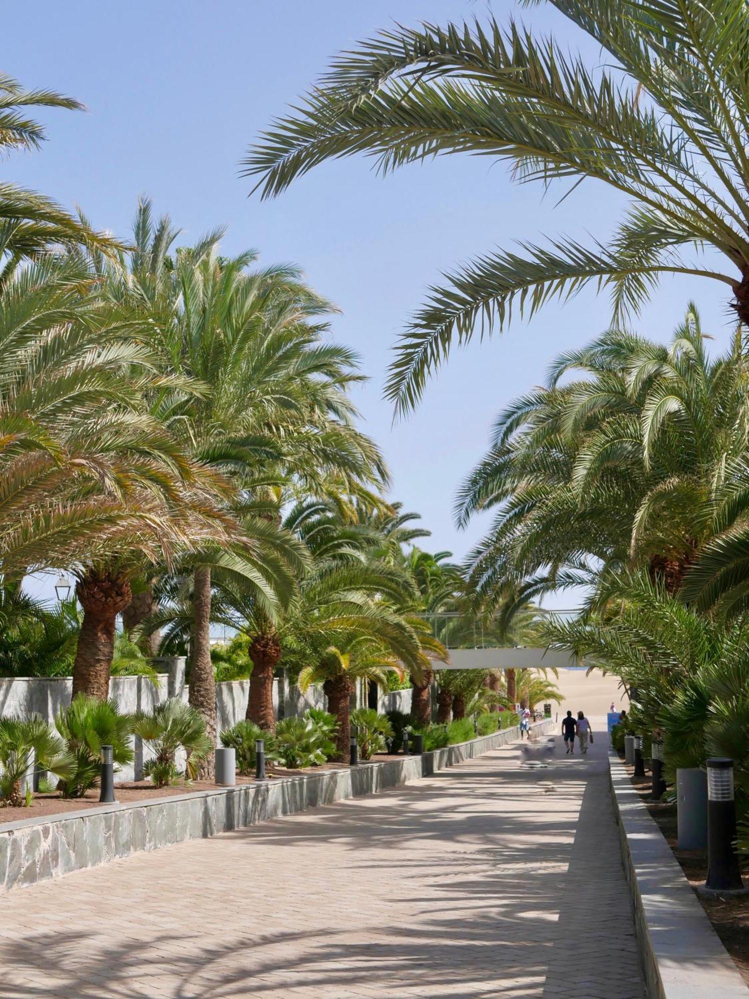Moon Dunes Apartment - By Yumbo Center - Playa Del Ingles 외부 사진