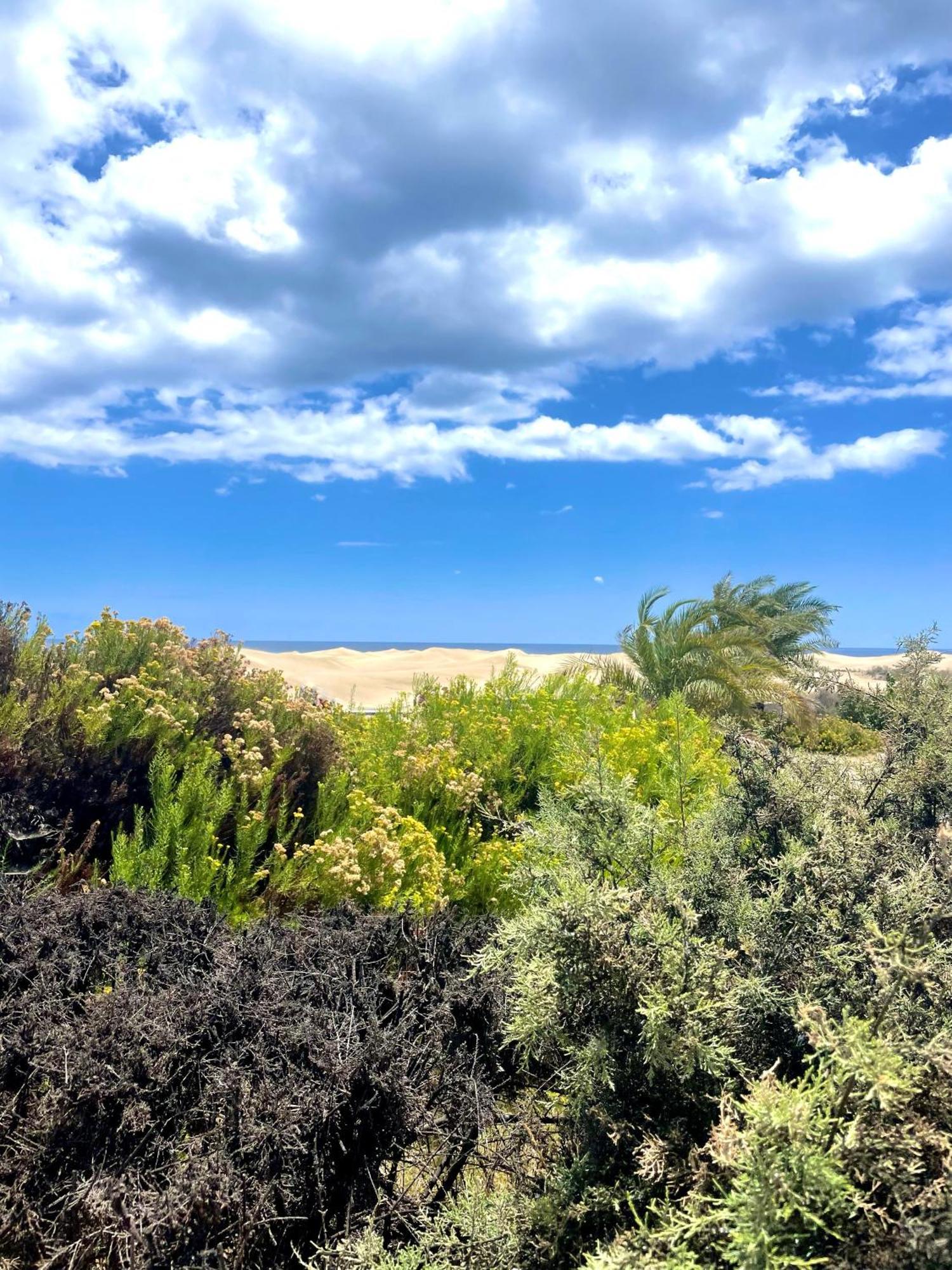 Moon Dunes Apartment - By Yumbo Center - Playa Del Ingles 외부 사진